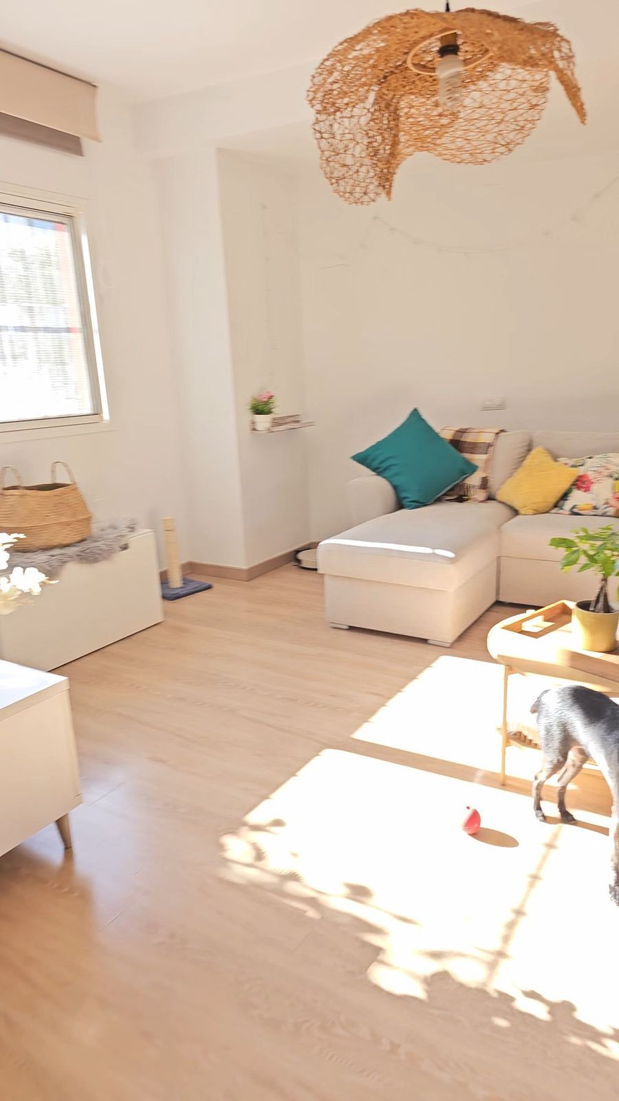 Property main view 23