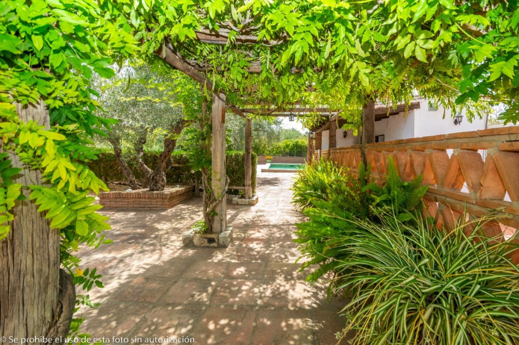 Huis te koop in Alhaurín de la Torre | 4 slaapkamers H5382757