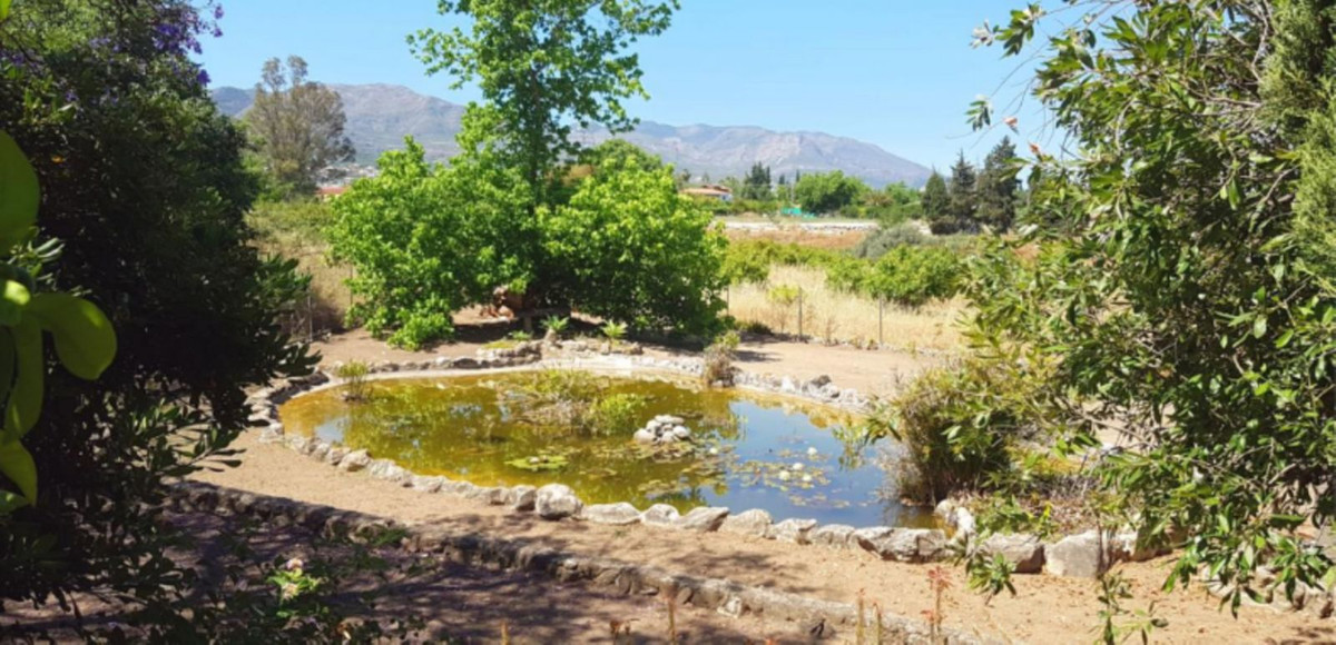 Property main view 21