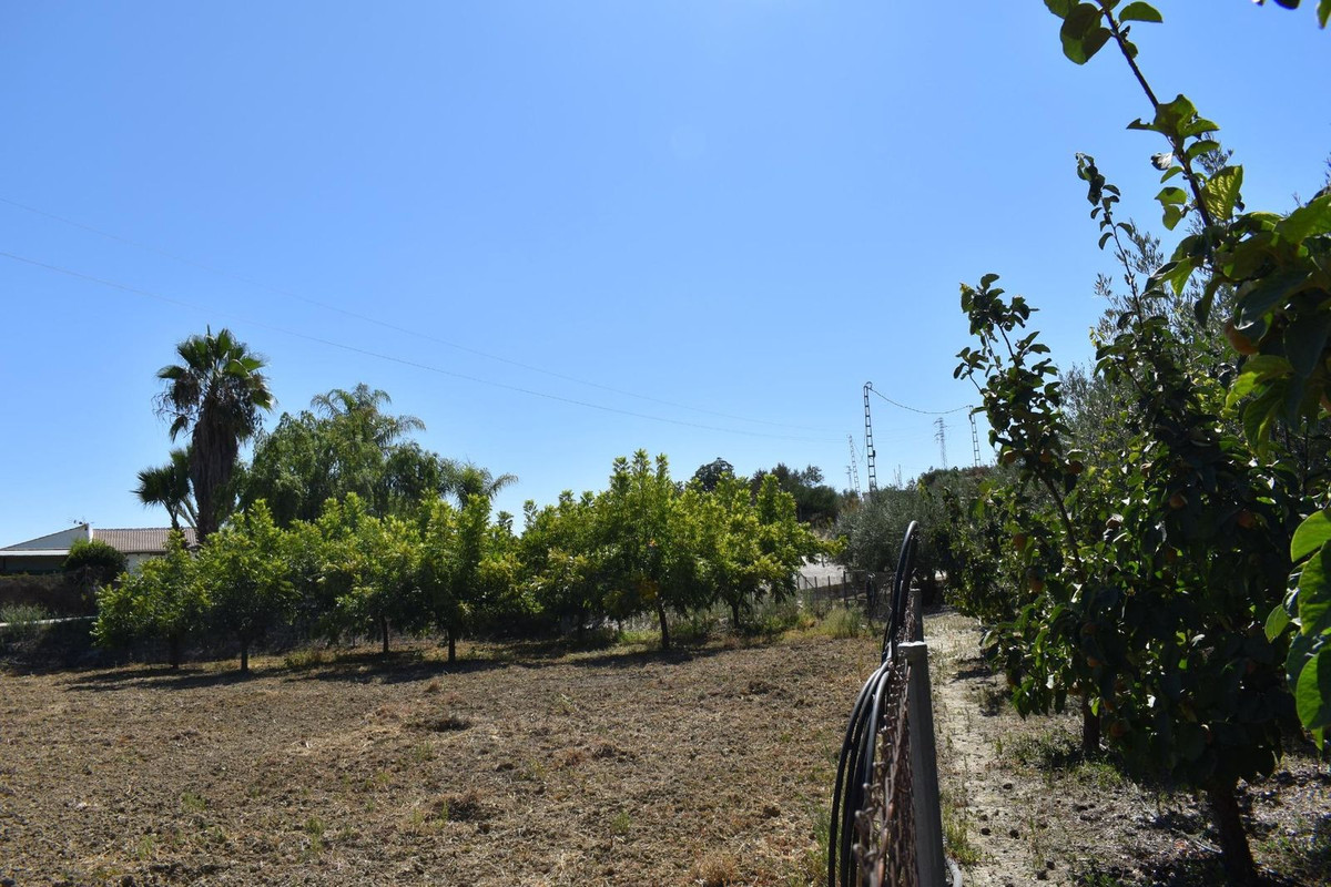 Property main view 19