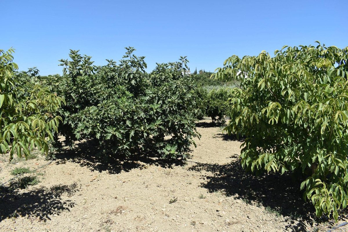 Property main view 21