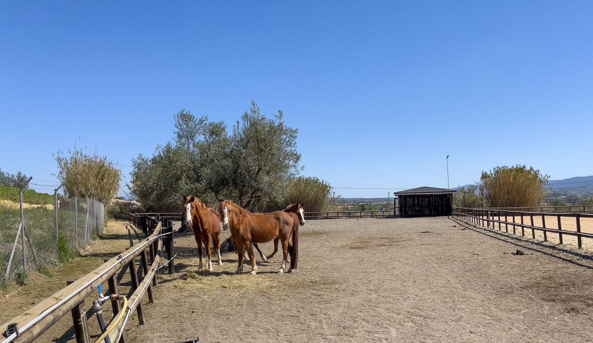 Huis te koop in Alhaurín el Grande | 4 slaapkamers H4671892