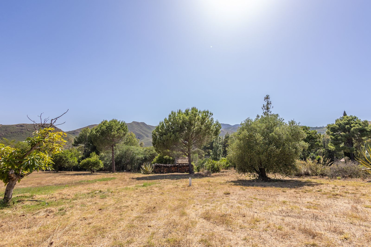 Property main view 50