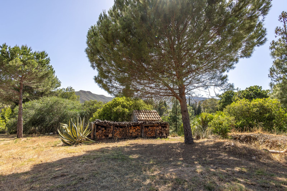 Property main view 51