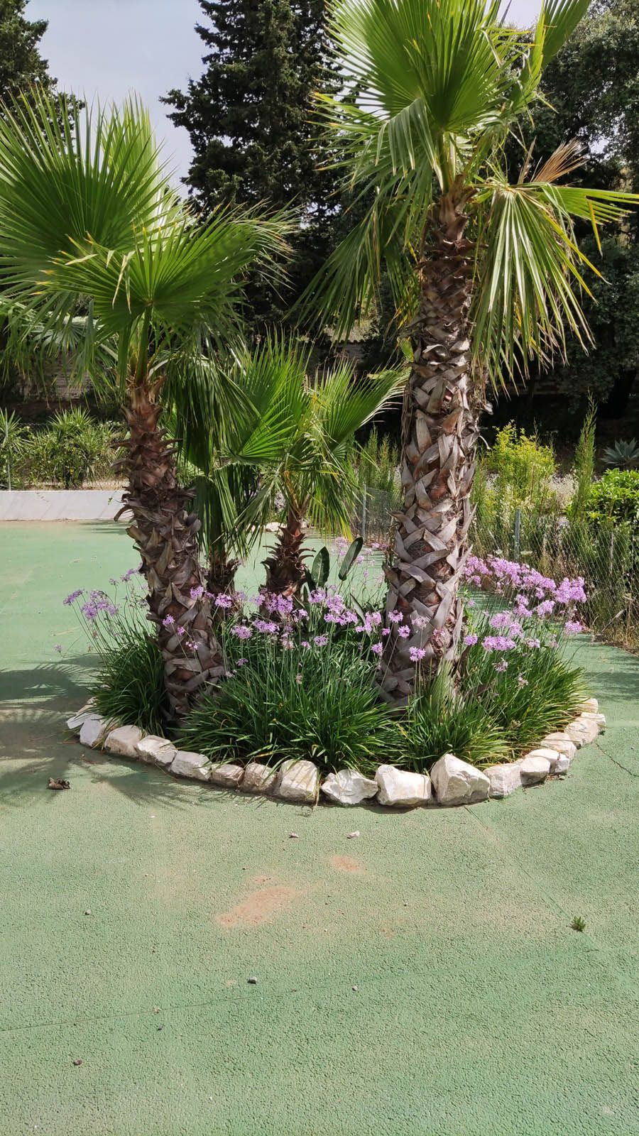 Property main view 27