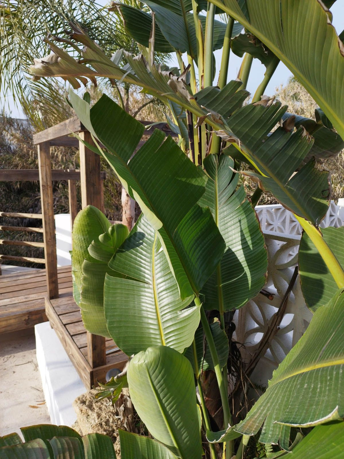 Property main view 28