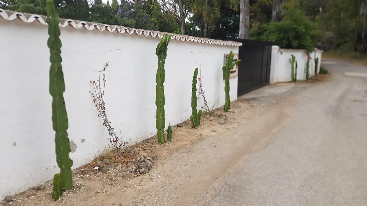 Property main view 35