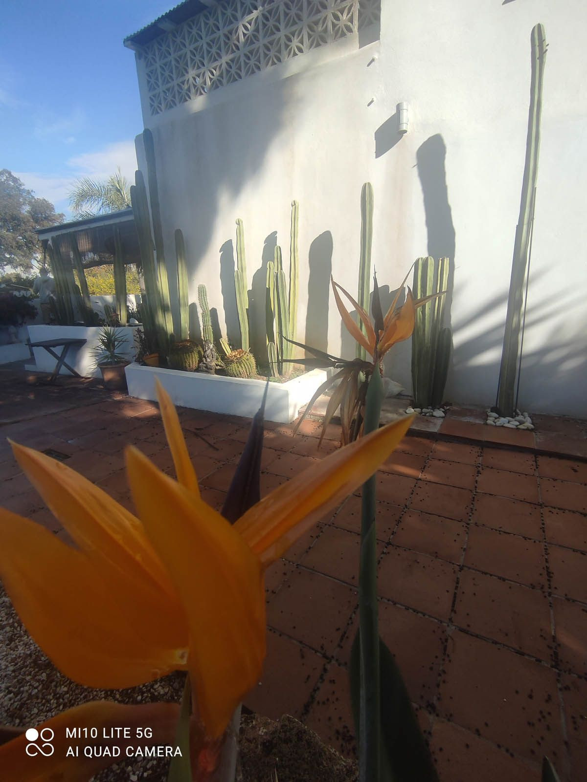 Property main view 36