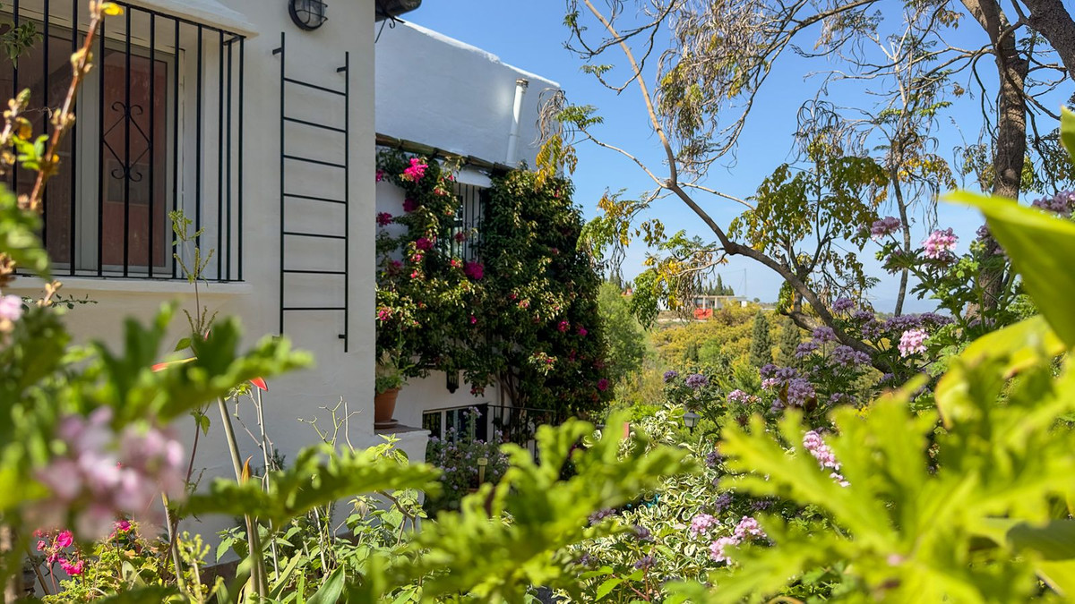 Property main view 25