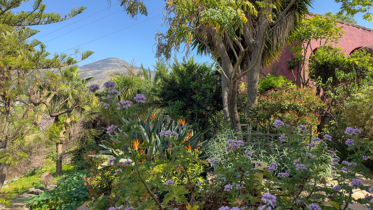 Property main view 39