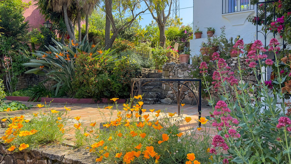 Property main view 40