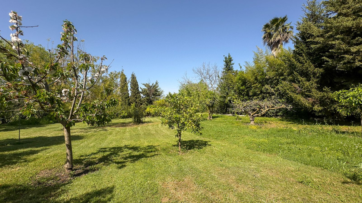 Property main view 48