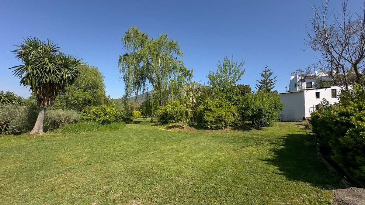 Property main view 50