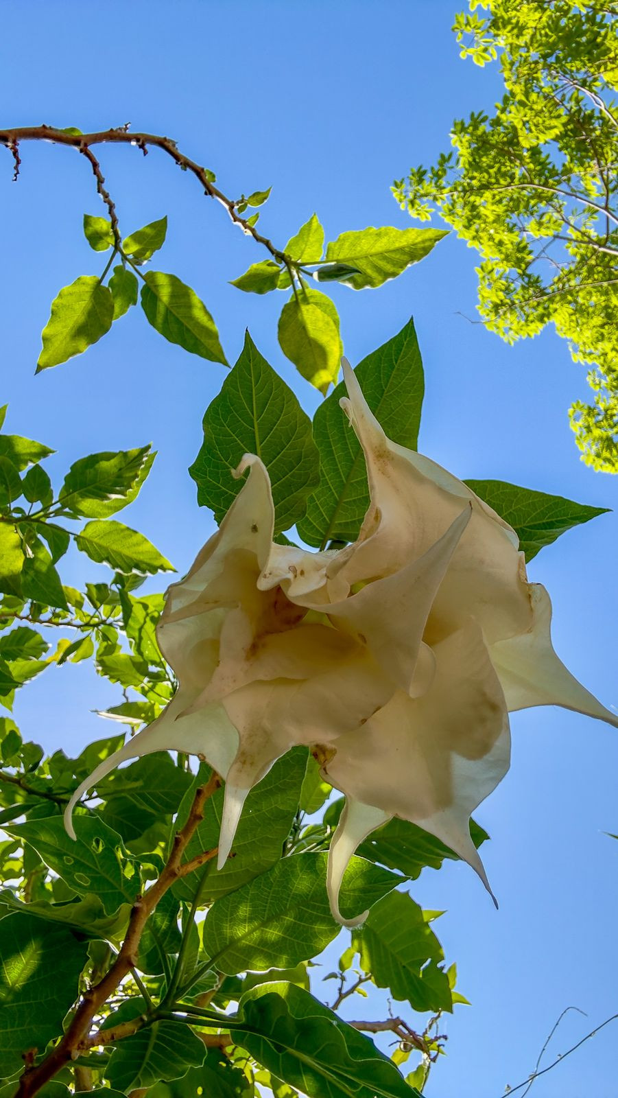 Property main view 59