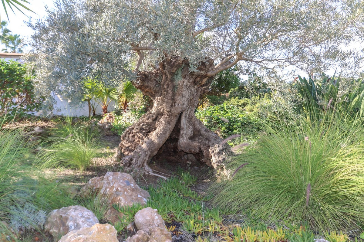 Property main view 61