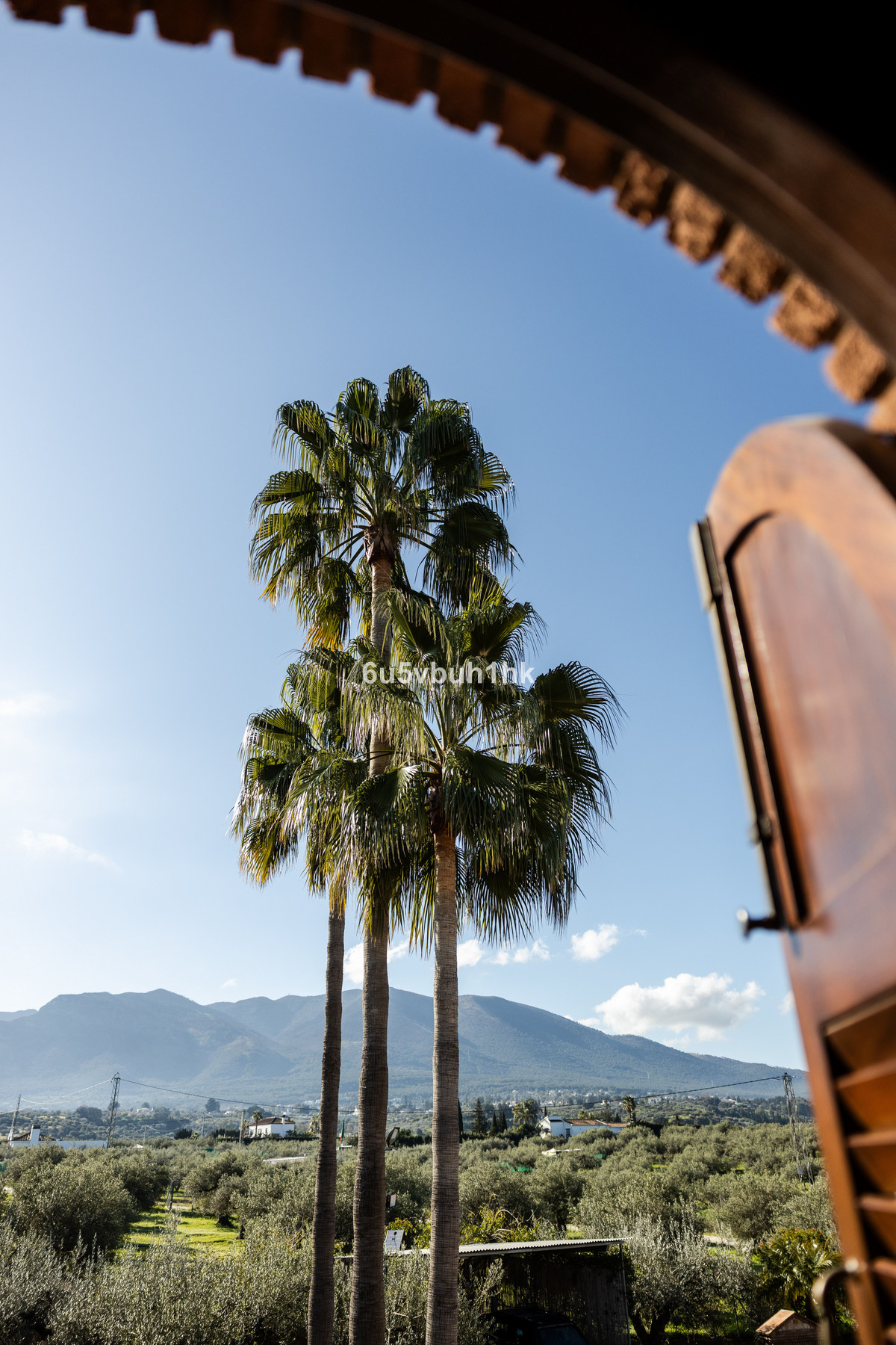 Property main view 24