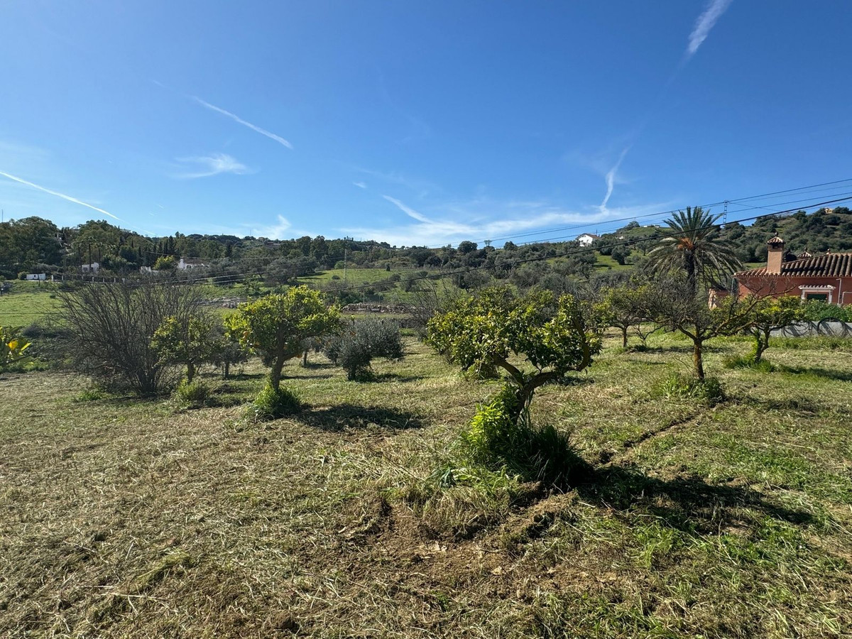 Finca - Cortijo in Alhaurín el Grande-14