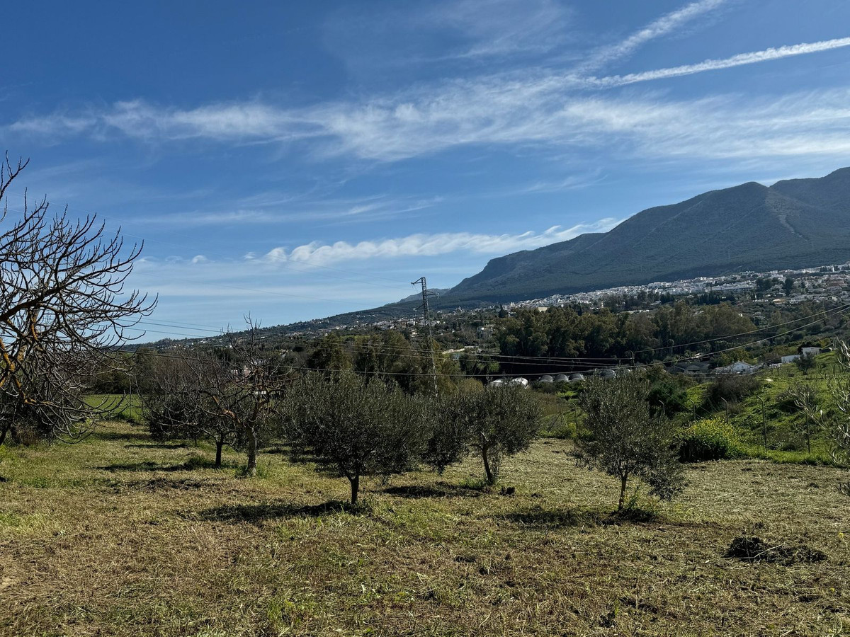 Finca - Cortijo in Alhaurín el Grande-15