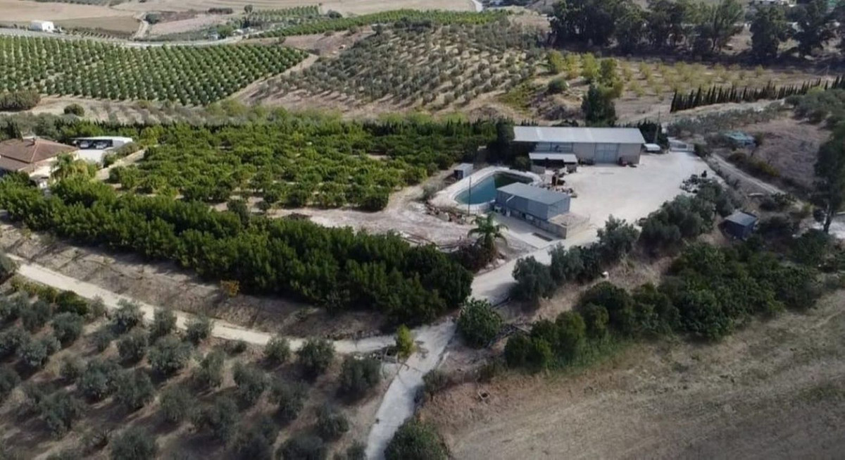 Finca - Cortijo in Alhaurín el Grande-3