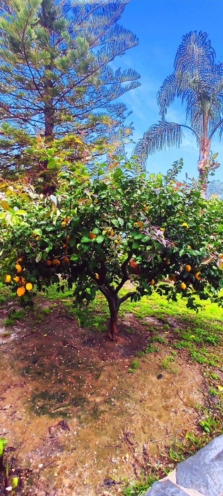 Property main view 14