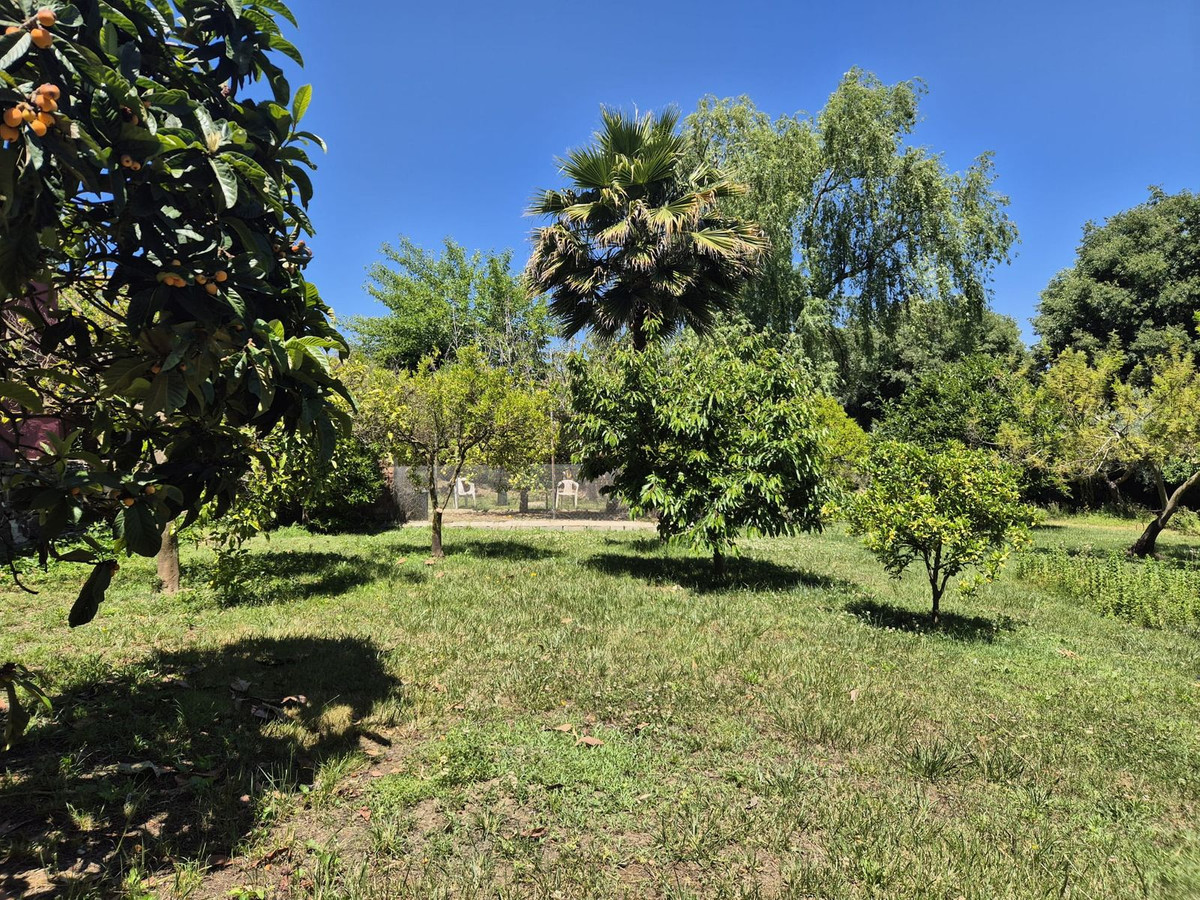 Property main view 30