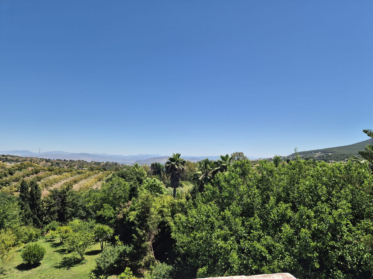 Property main view 50