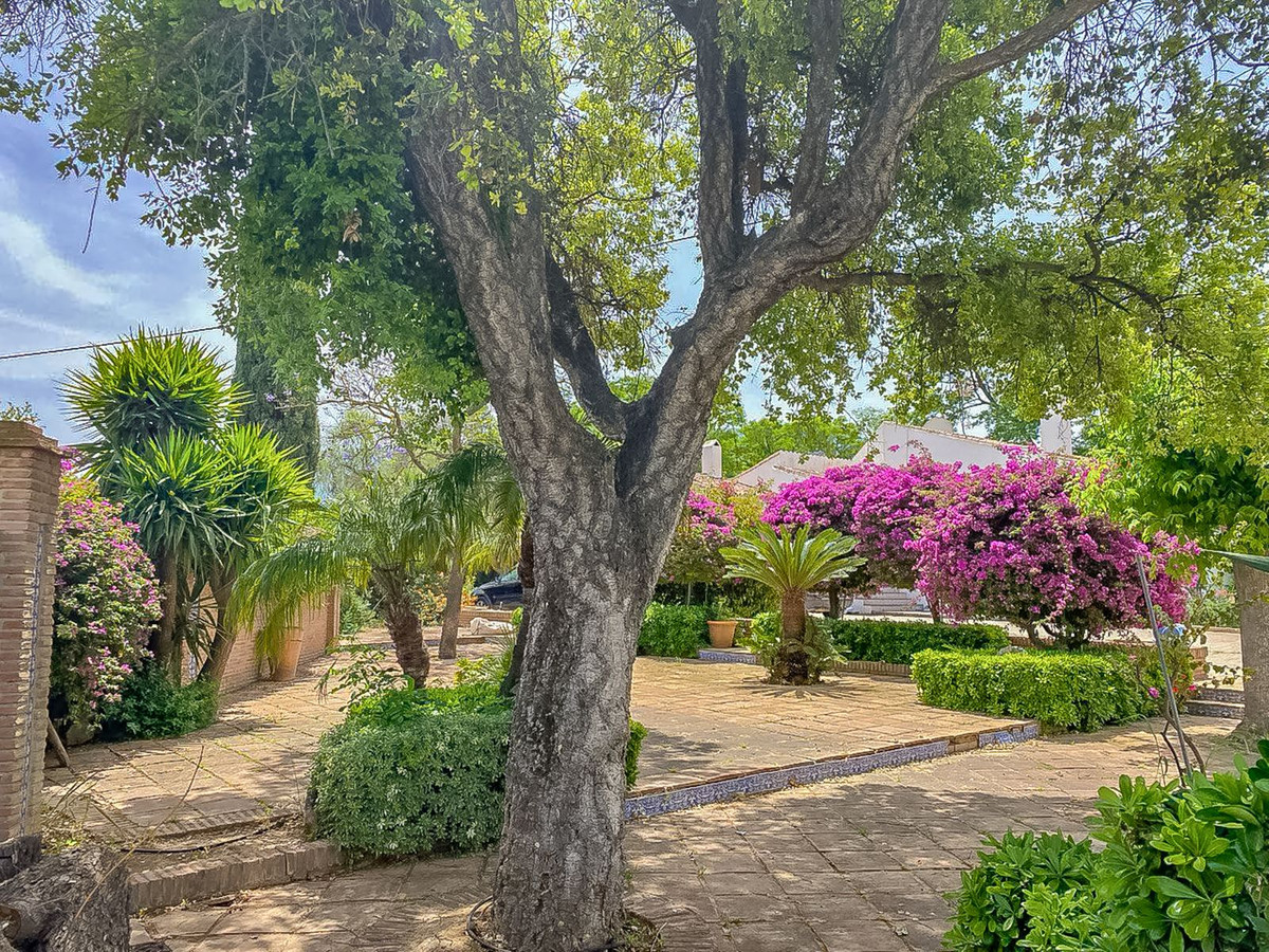 Huis te koop in Alhaurín el Grande | 4 slaapkamers H5051191