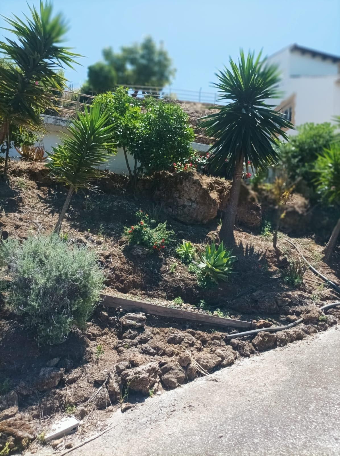 Property main view 41