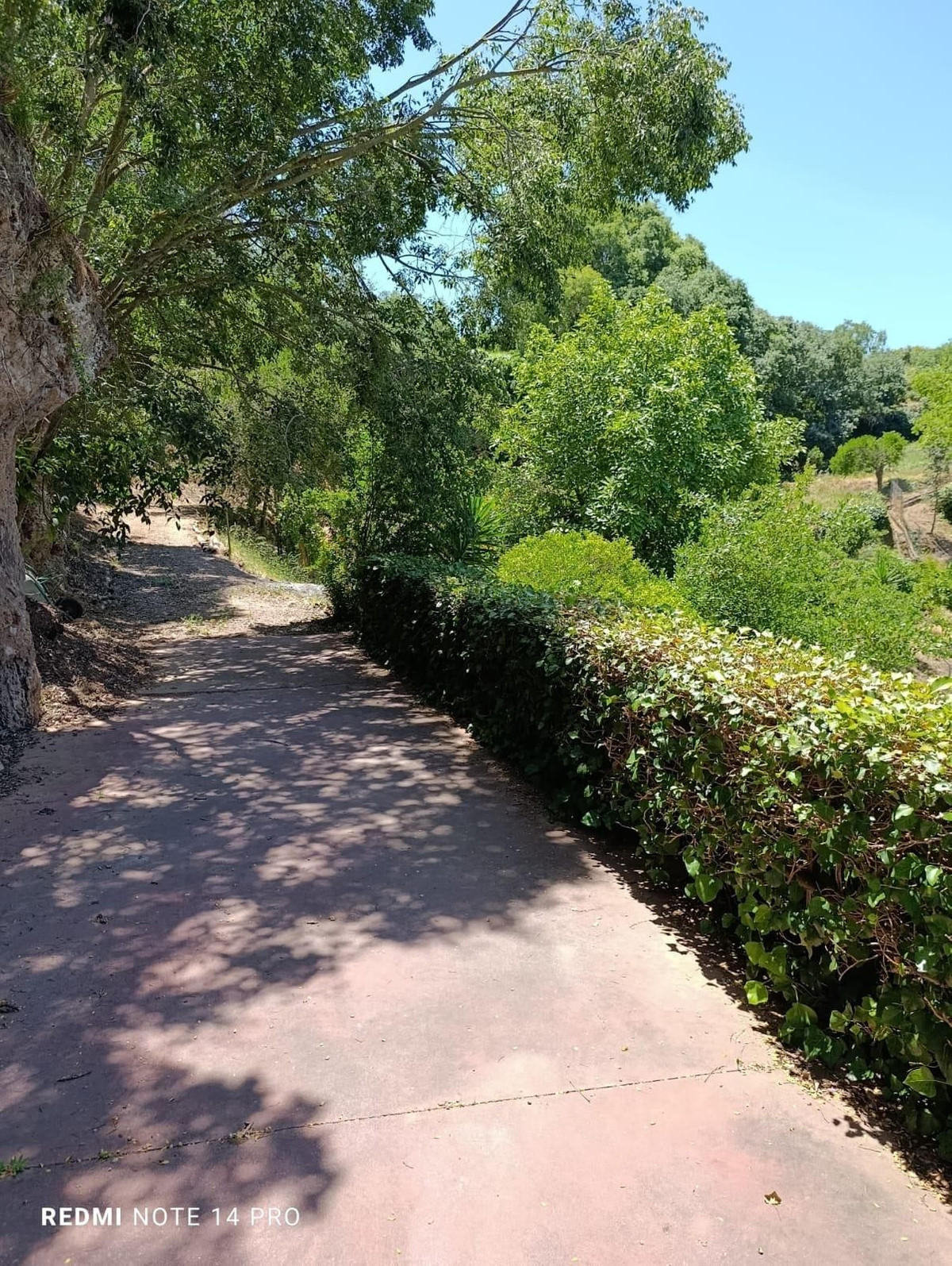 Property main view 42