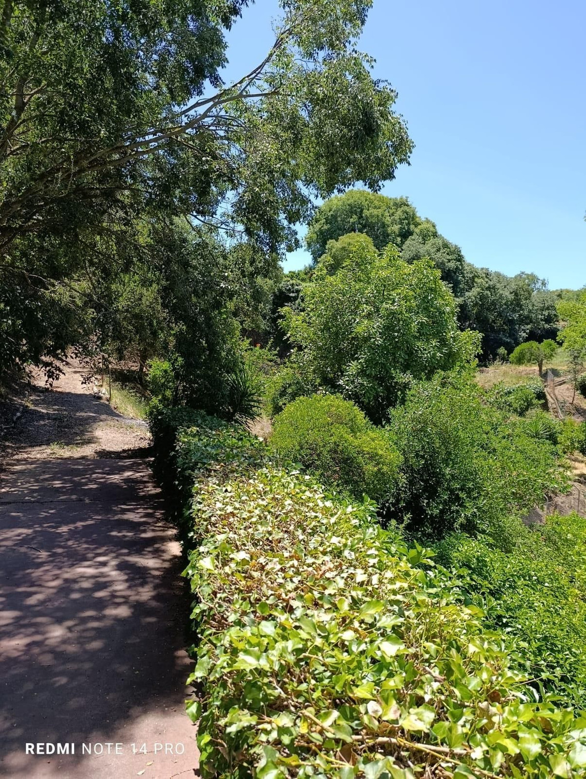 Property main view 43