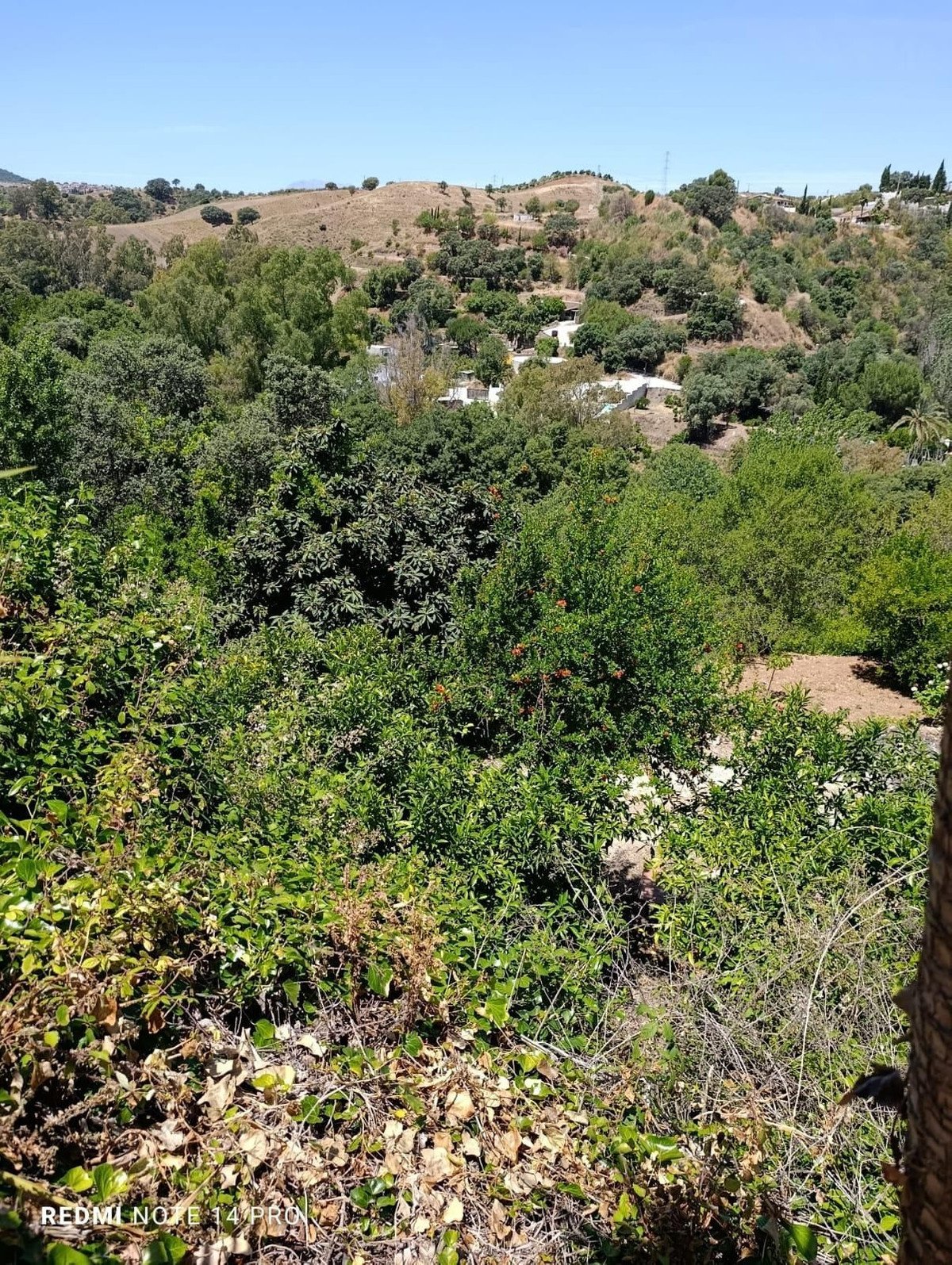 Property main view 6