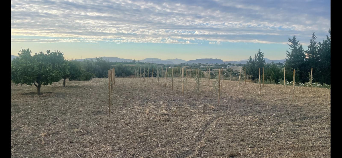 Property main view 20