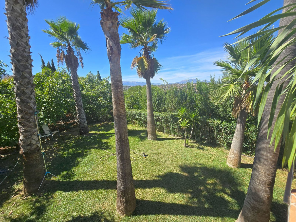 Property main view 19