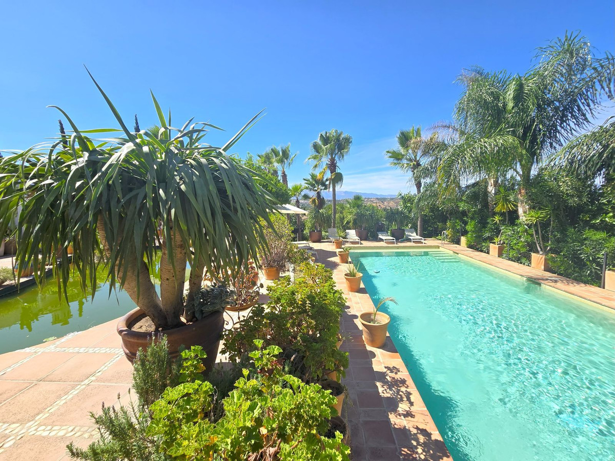 Property main view 2