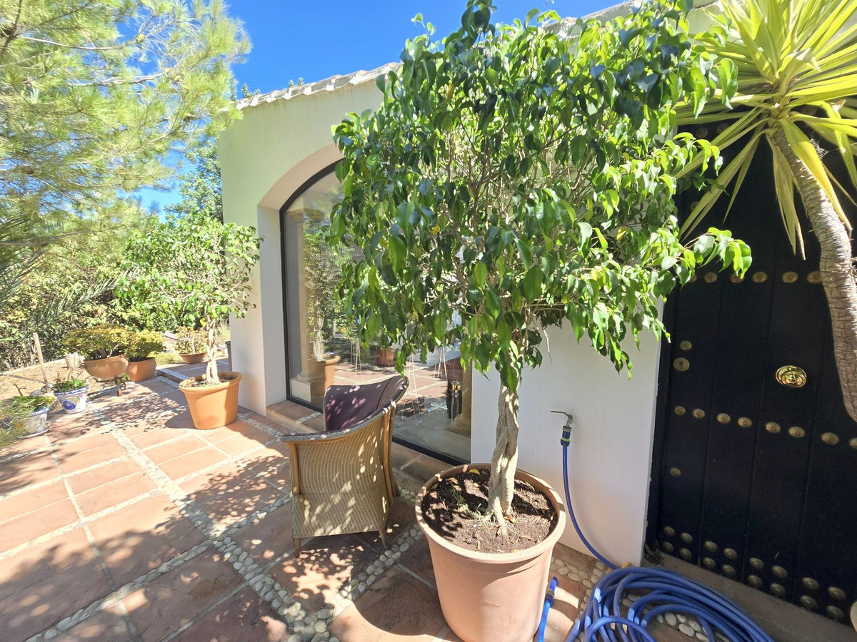 Property main view 60