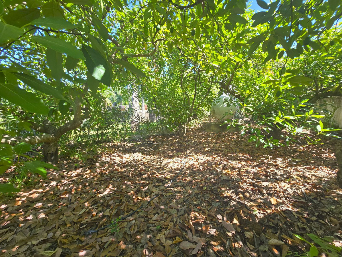 Property main view 62