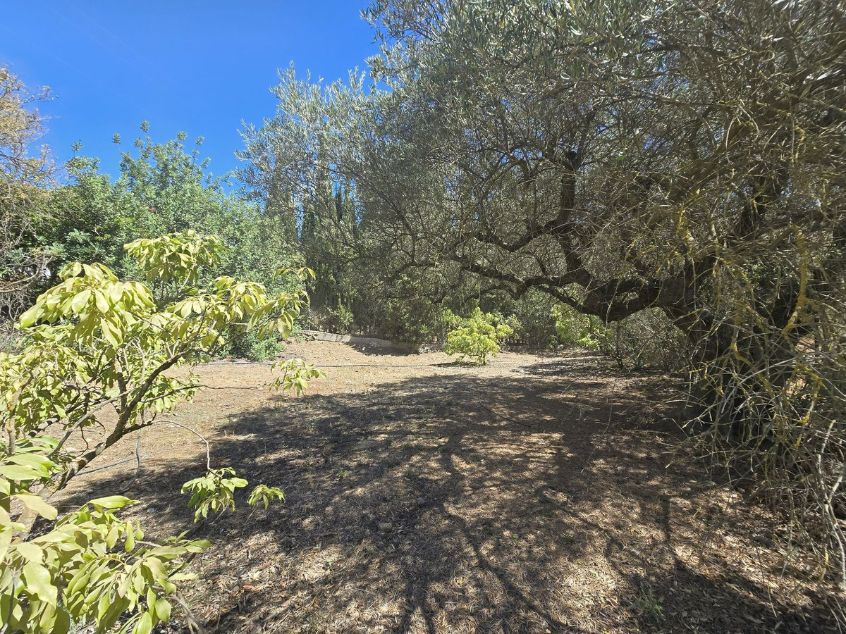 Property main view 65