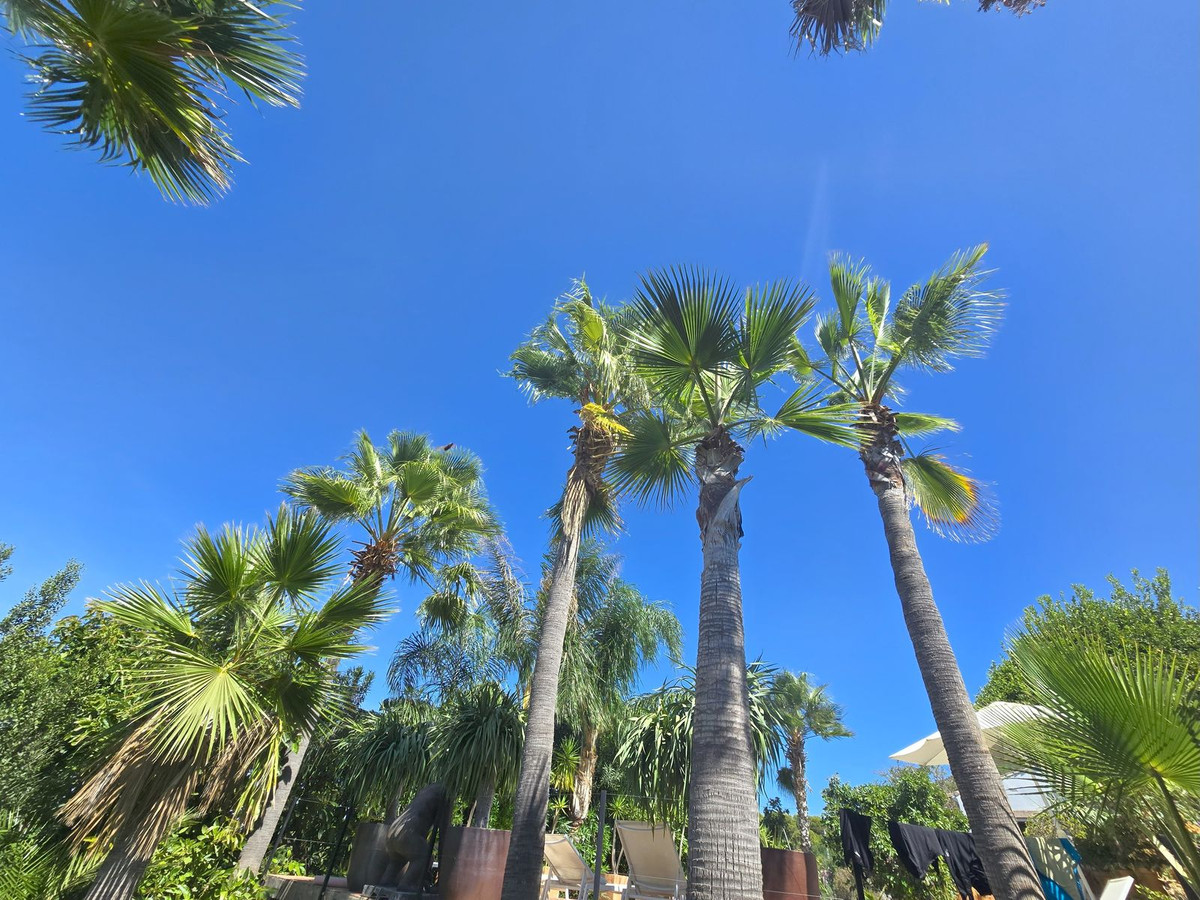 Property main view 67