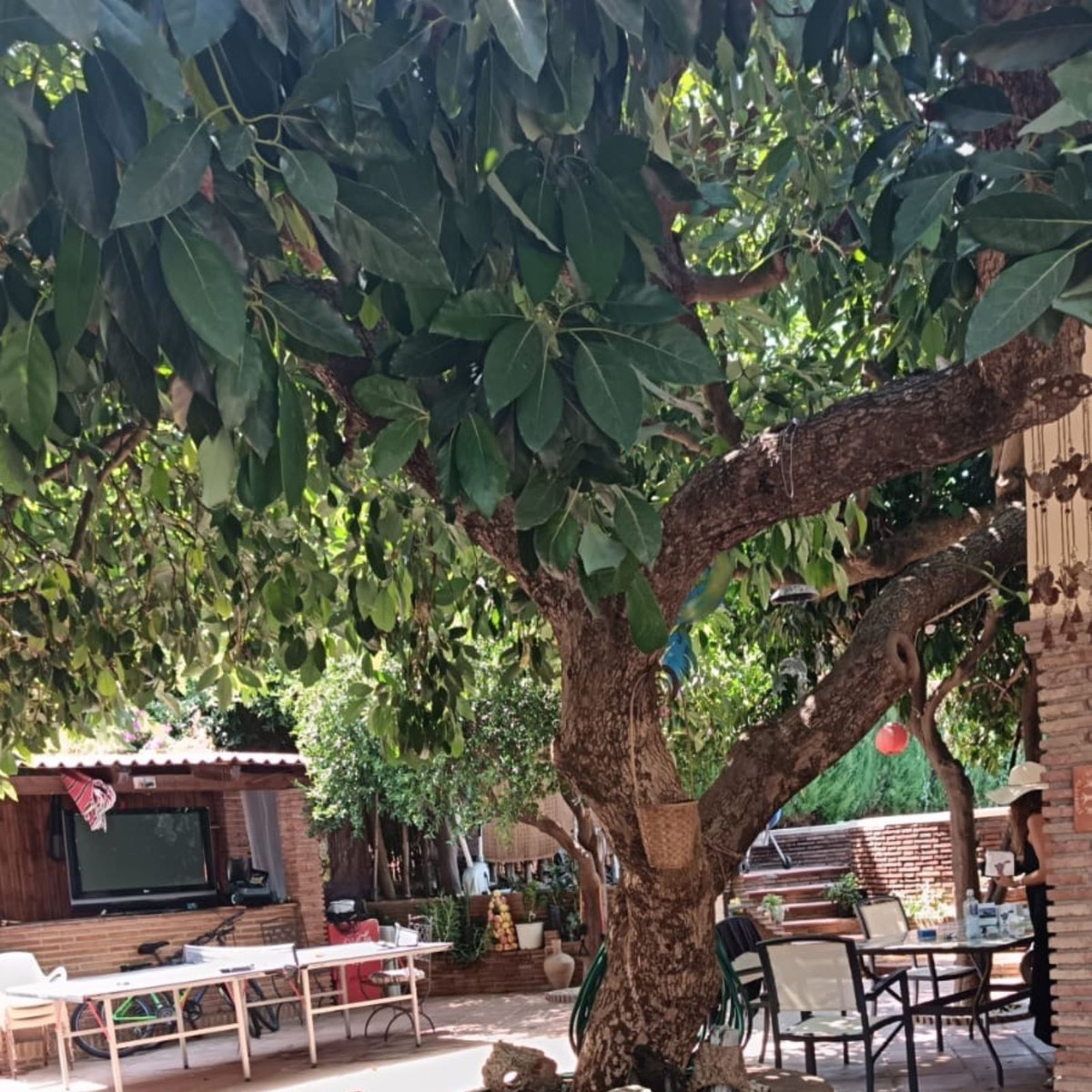 Property main view 7