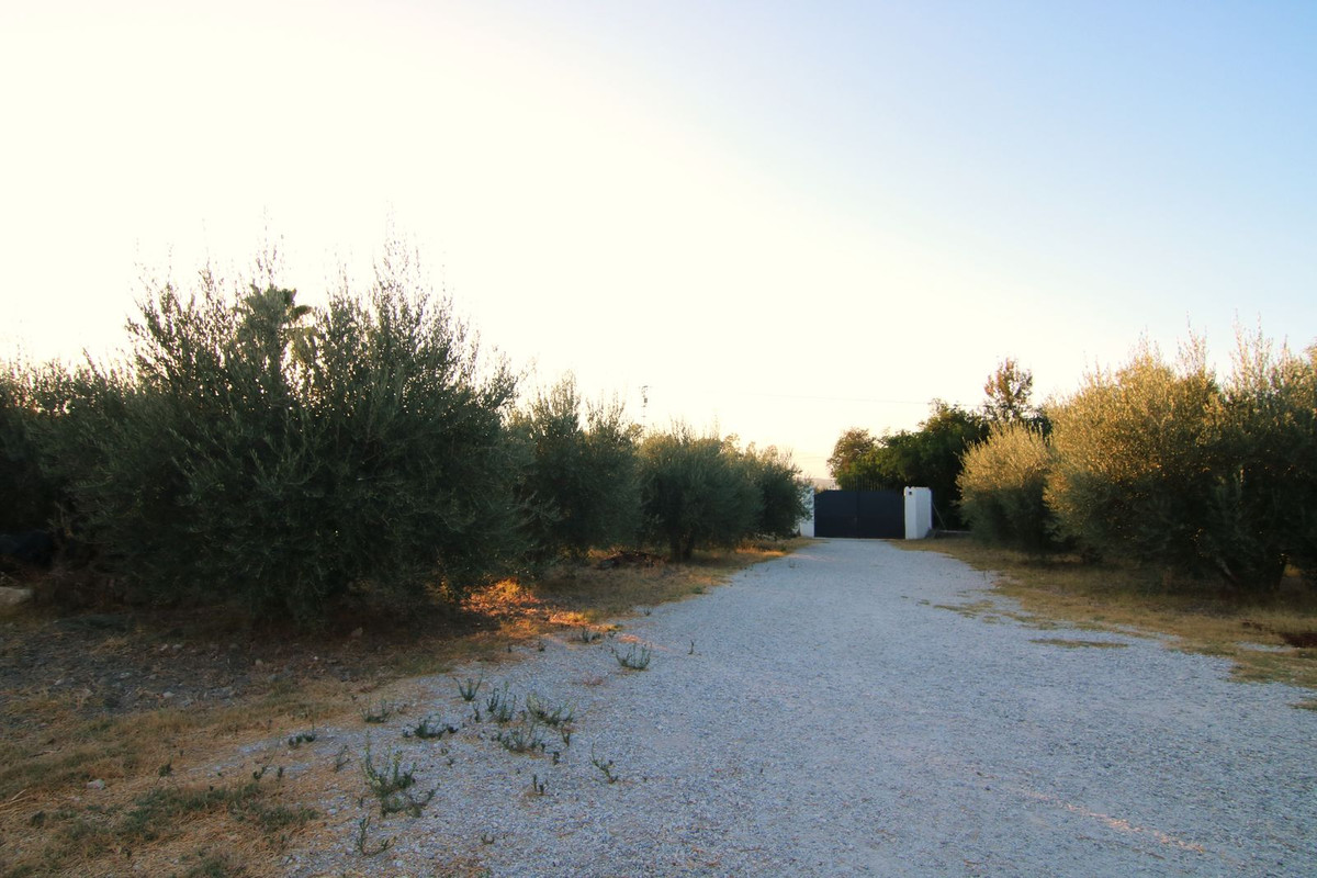 Property main view 20