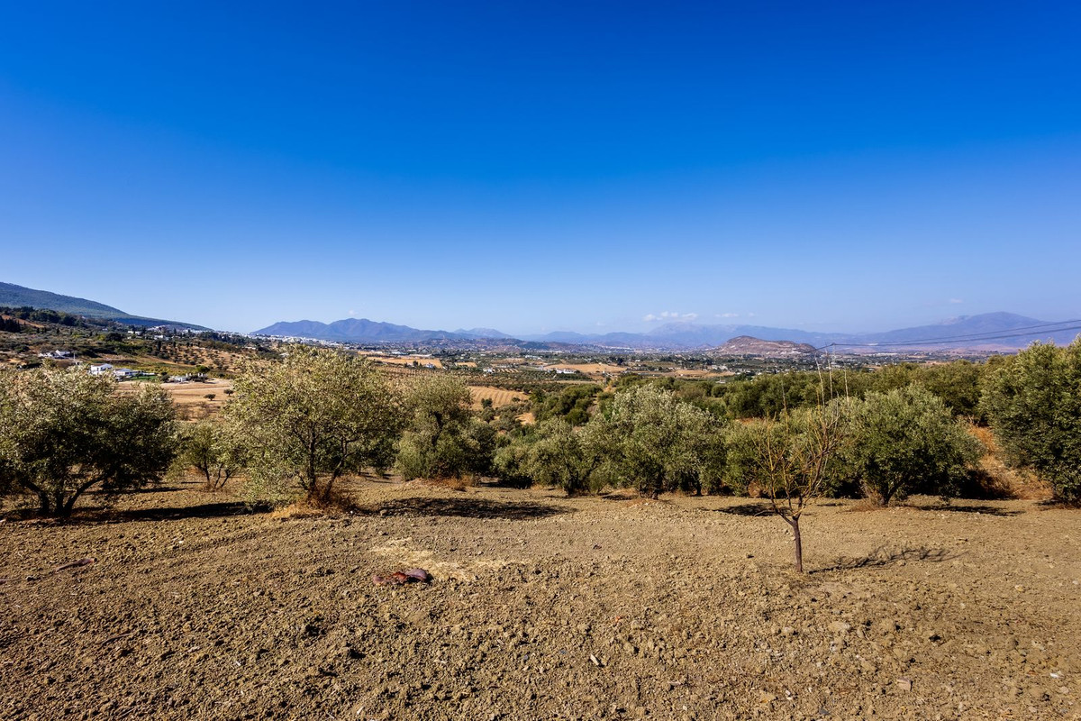 Property main view 30