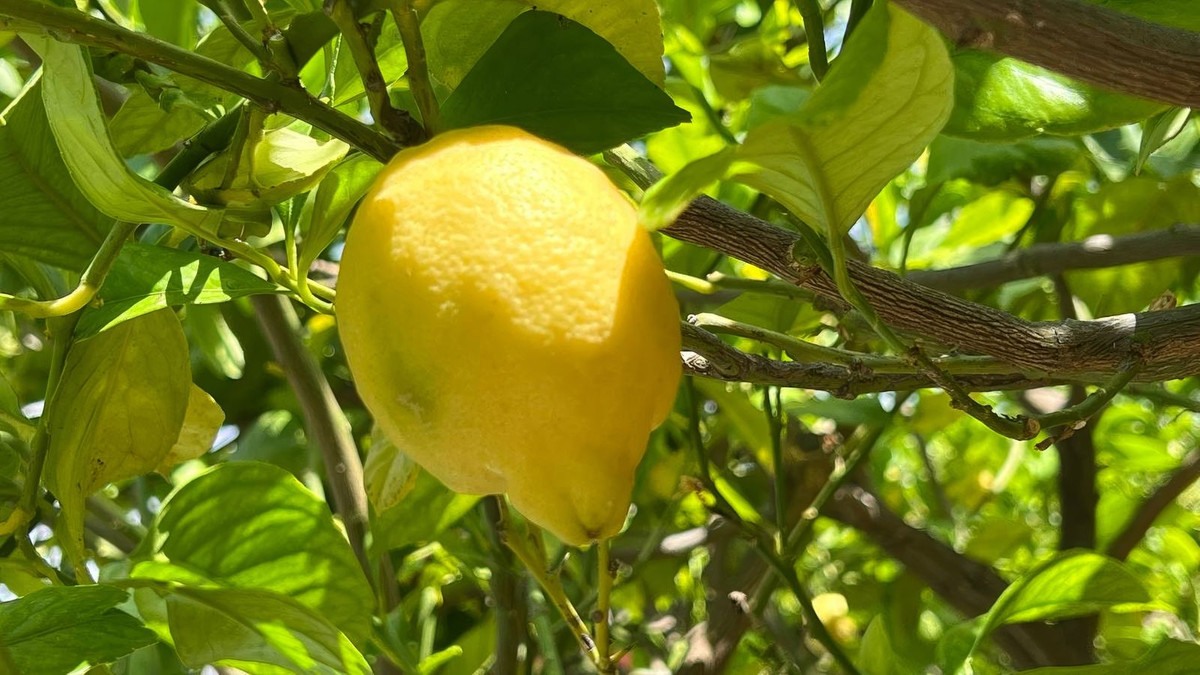 Property main view 35