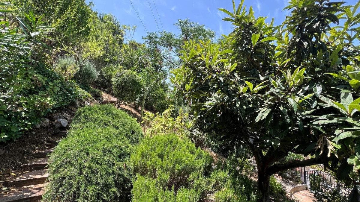 Property main view 36