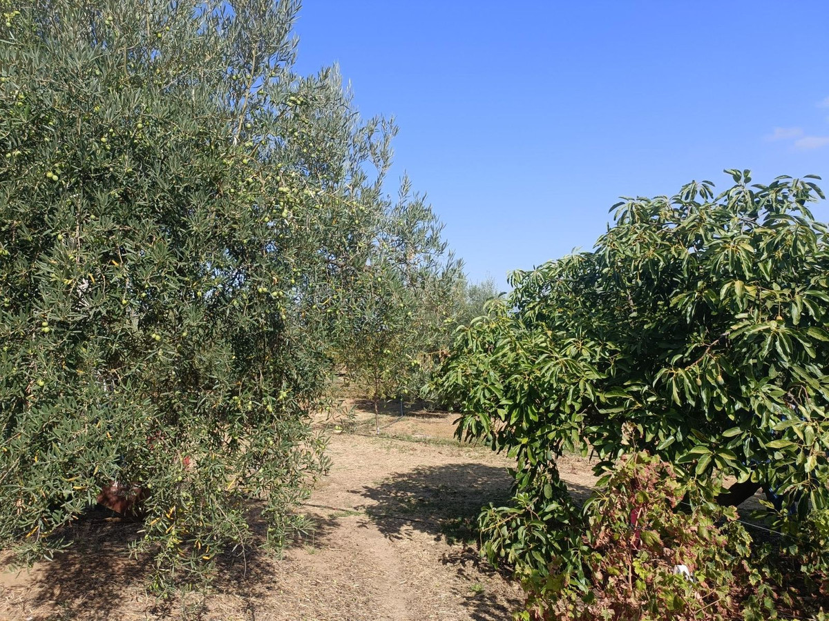 Property main view 31