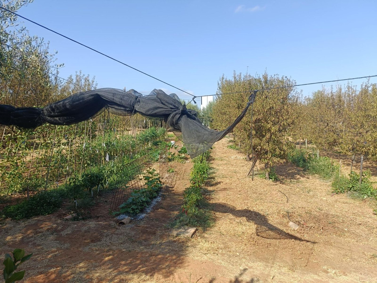 Property main view 33