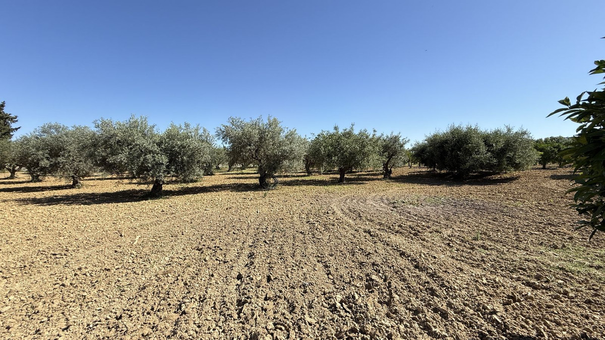 Property main view 26