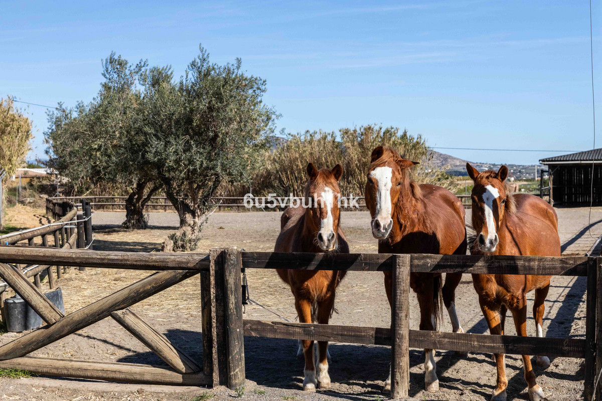 Property main view 48