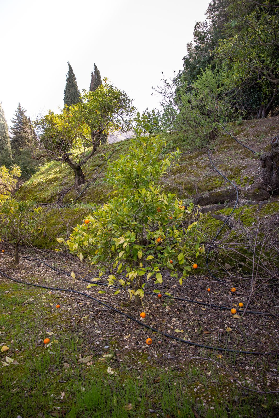 Huis te koop in Alhaurín el Grande | 5 slaapkamers H5310034