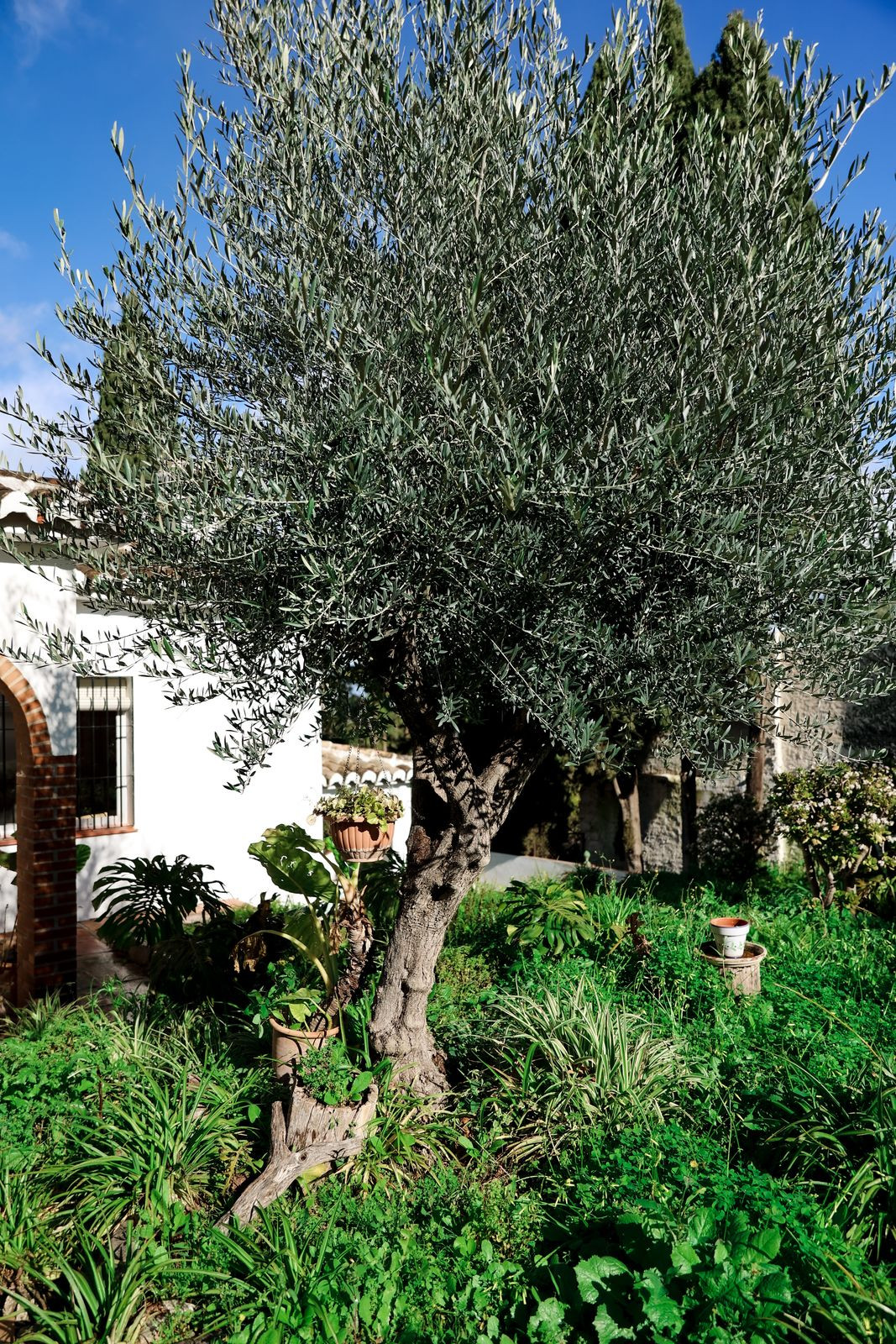 Huis te koop in Alhaurín el Grande | 5 slaapkamers H5310034