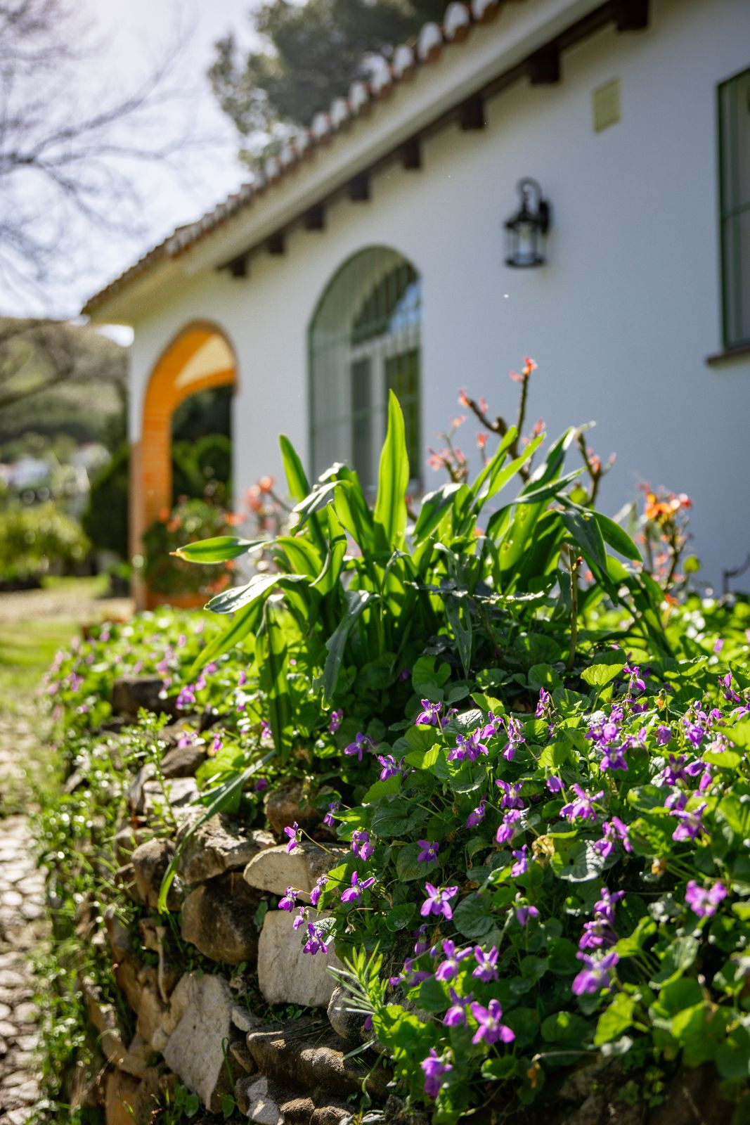 Huis te koop in Alhaurín el Grande | 5 slaapkamers H5310034